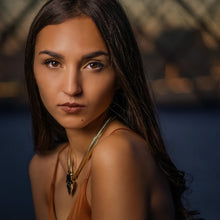 Killer Video Light 330